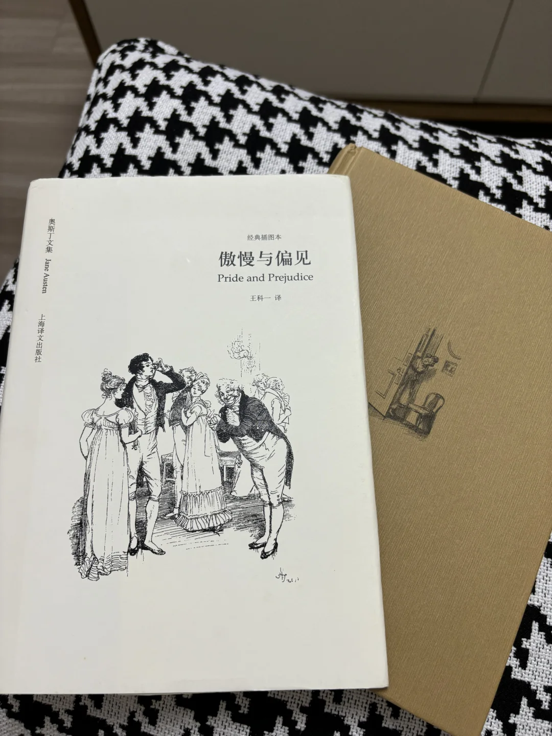 读本漂亮的书