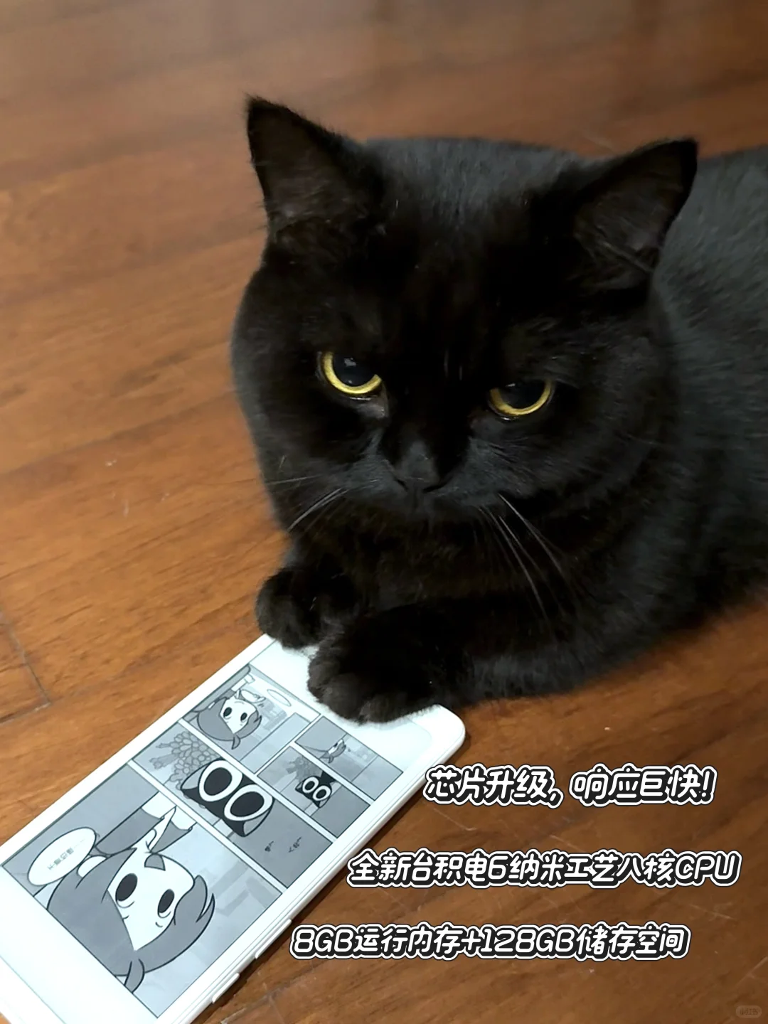学习要从娃娃抓起~