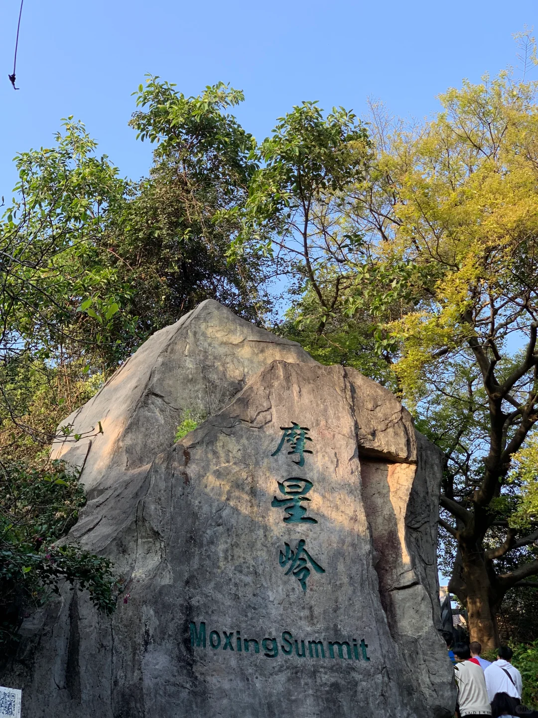 有多少人看过《我与地坛》