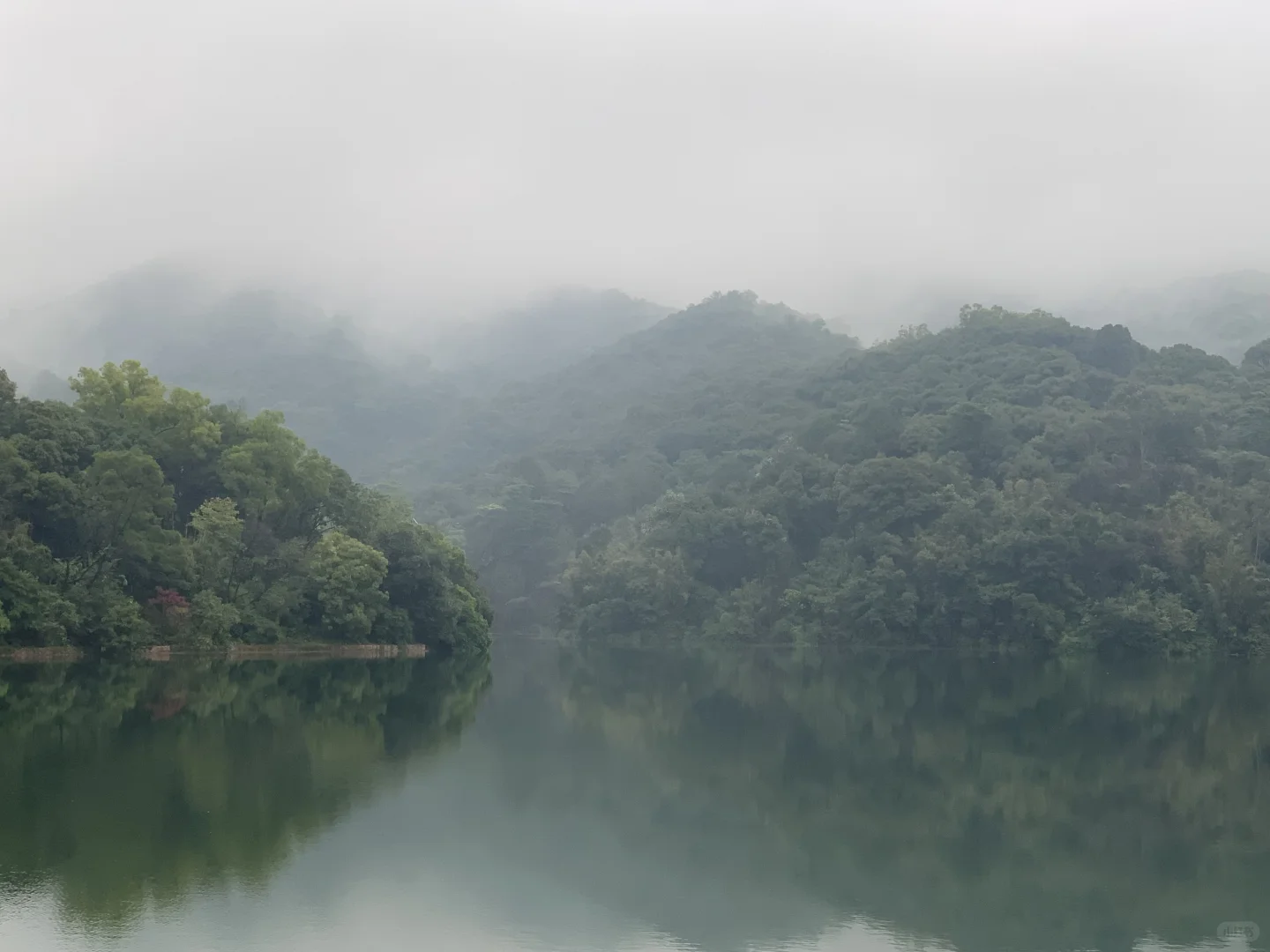 有多少人看过《我与地坛》