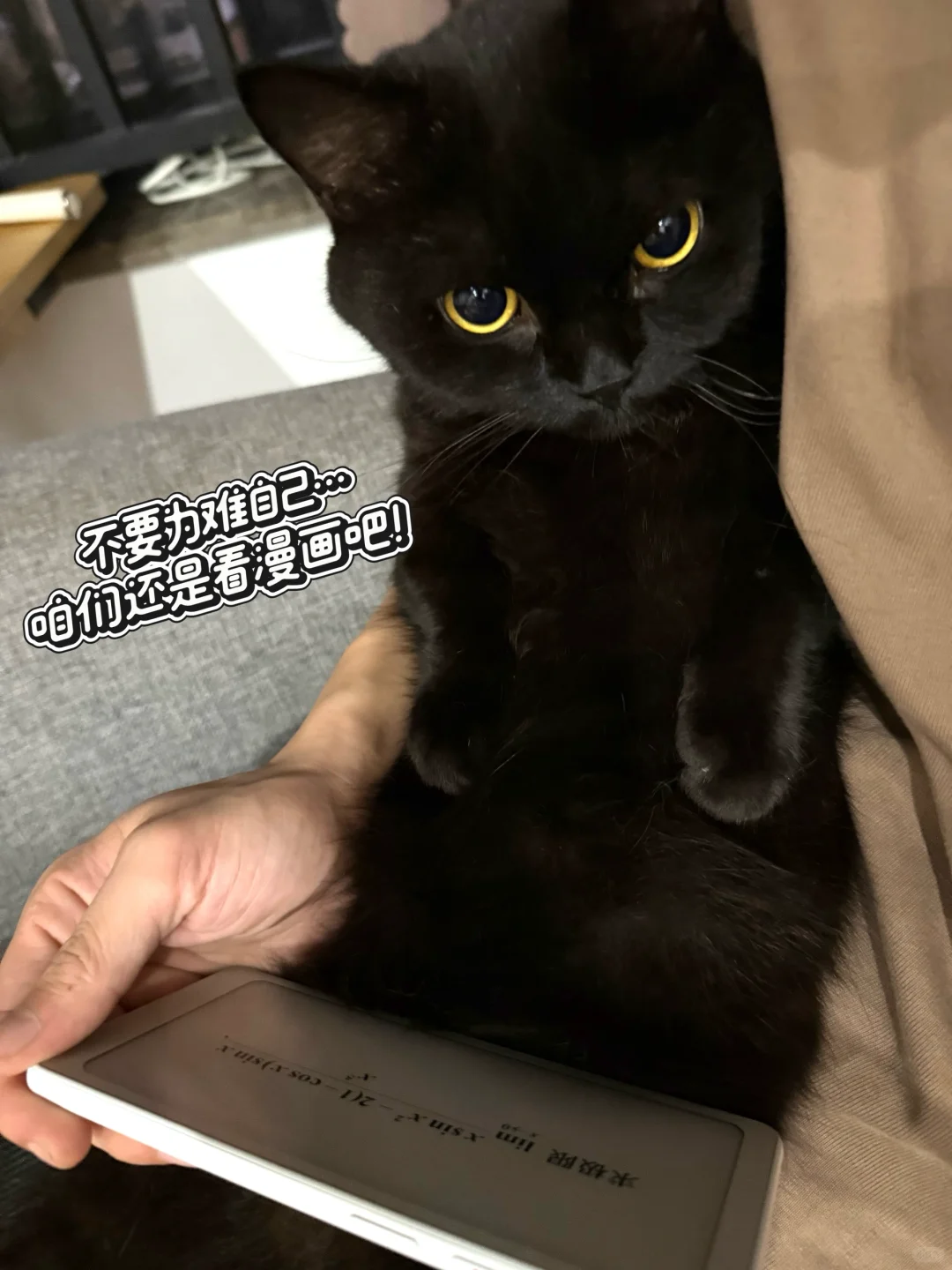 学习要从娃娃抓起~