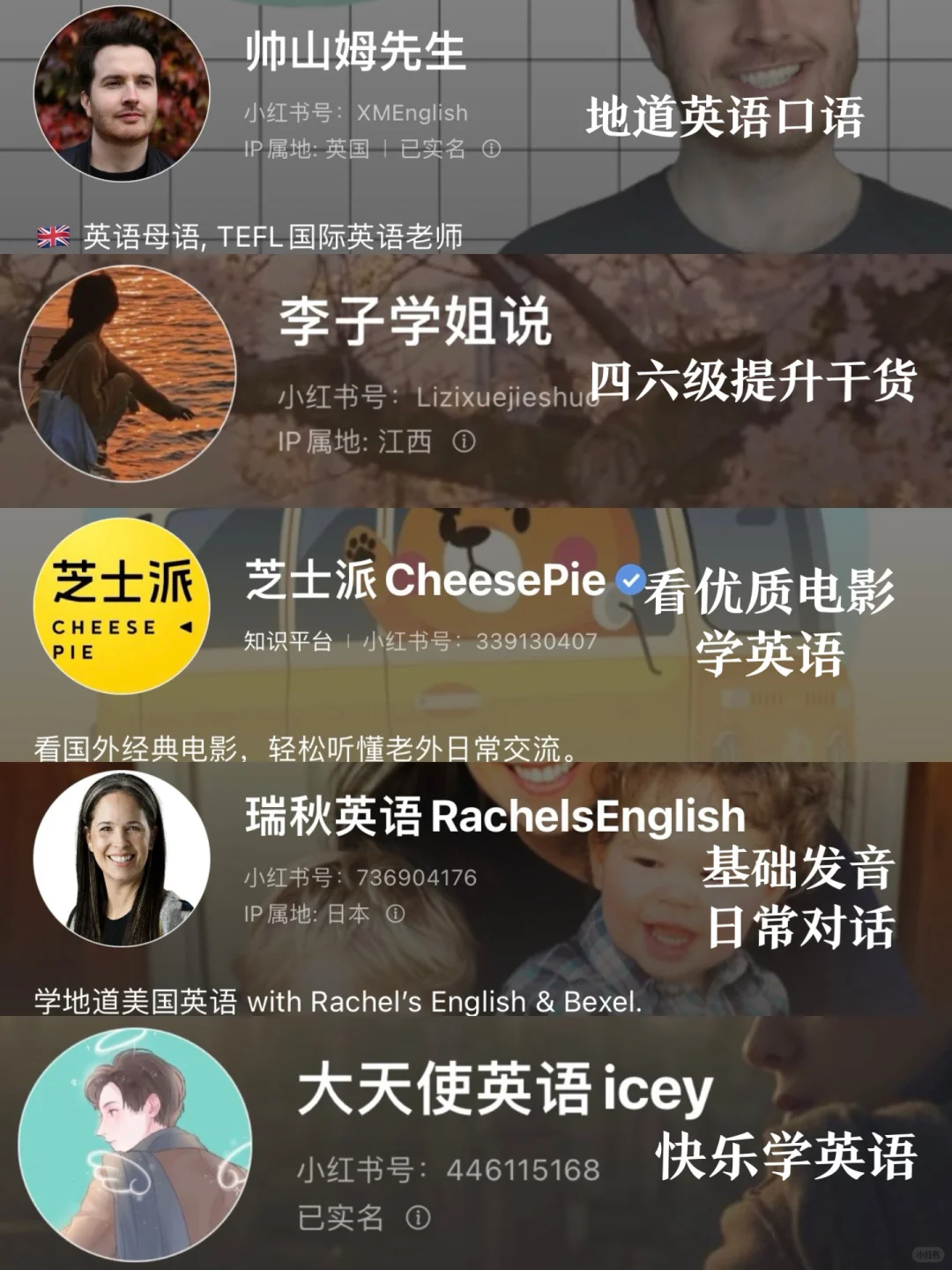 小红书才是经管生神器🔥30位宝藏博主推荐