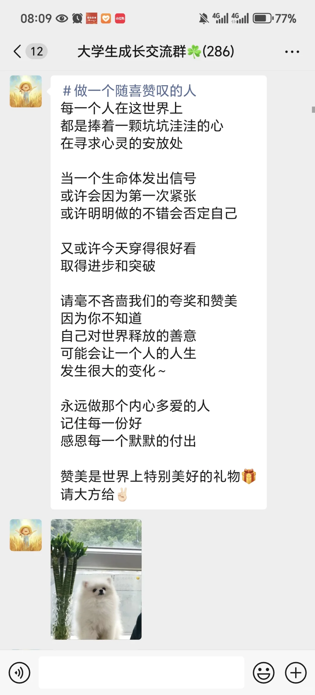 这个读书群真的能学的好多😭😭