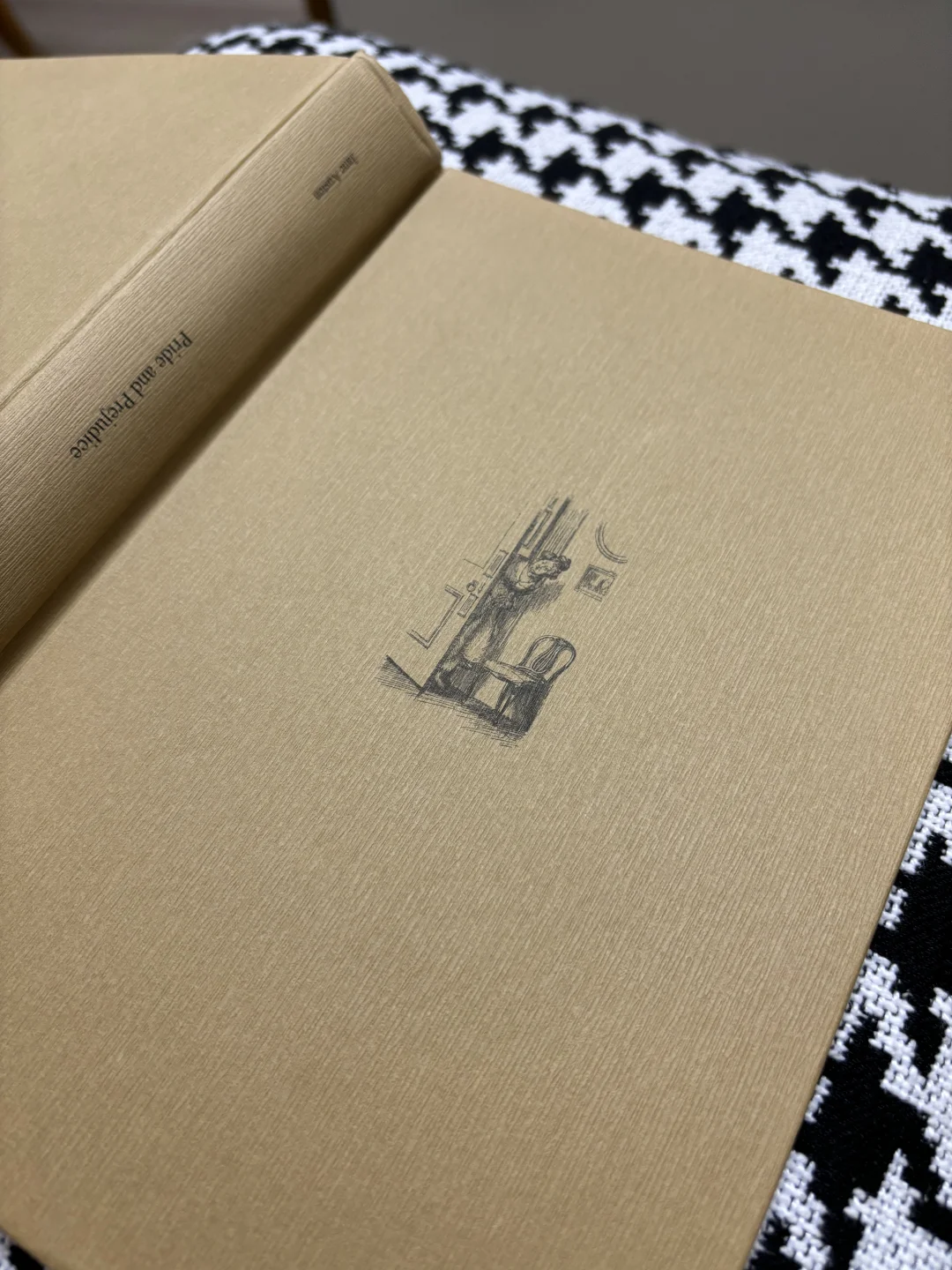 读本漂亮的书