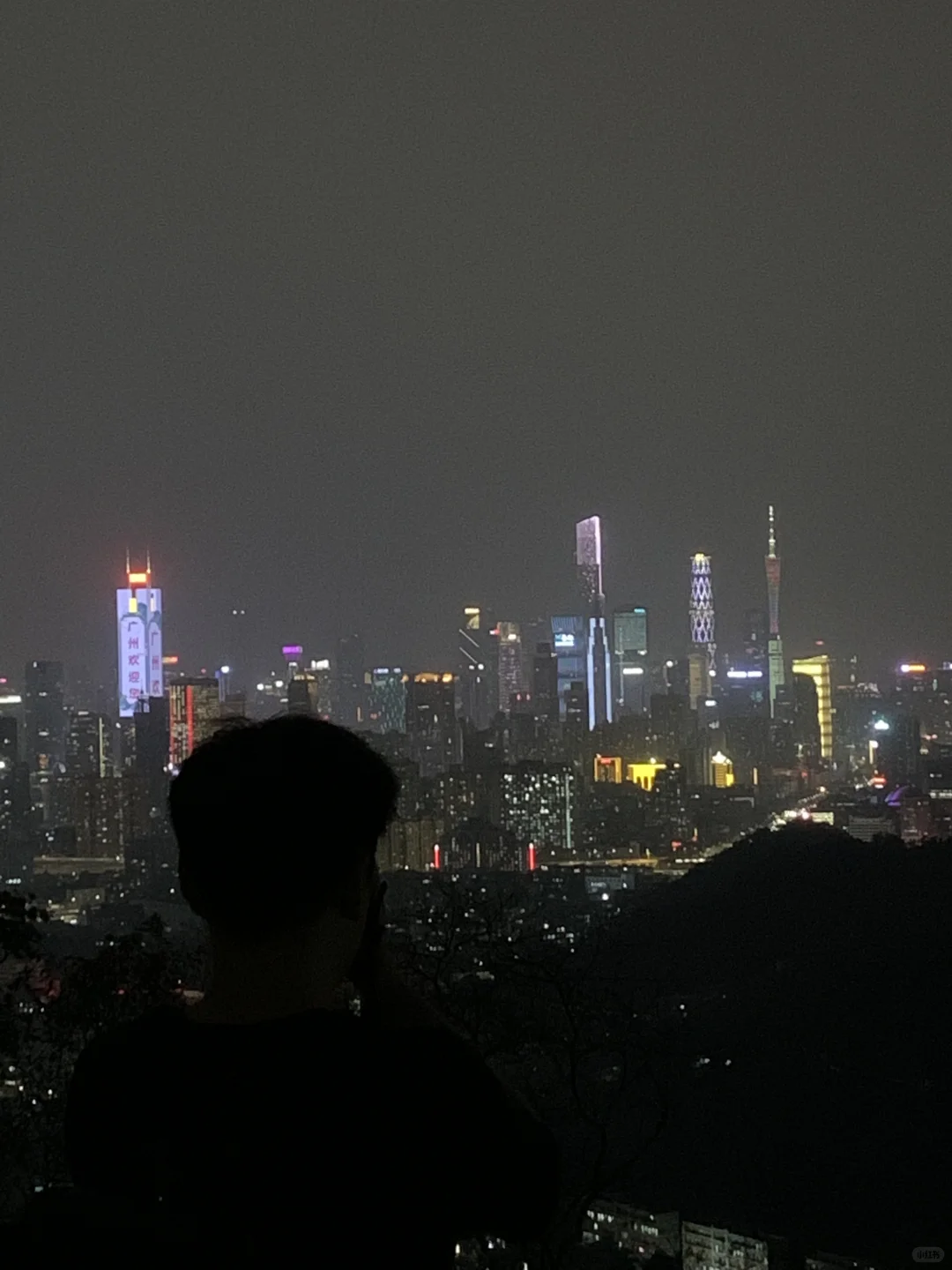 有多少人看过《我与地坛》