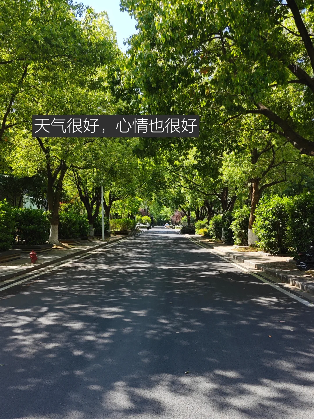 博三在读，想给研0生一些读文献的方法