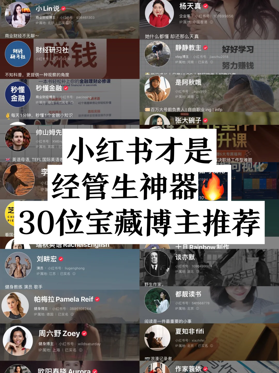 小红书才是经管生神器🔥30位宝藏博主推荐