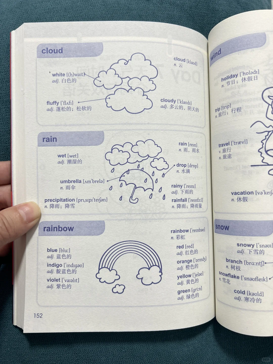 我宣布！这本书就是学英语记单词的神！