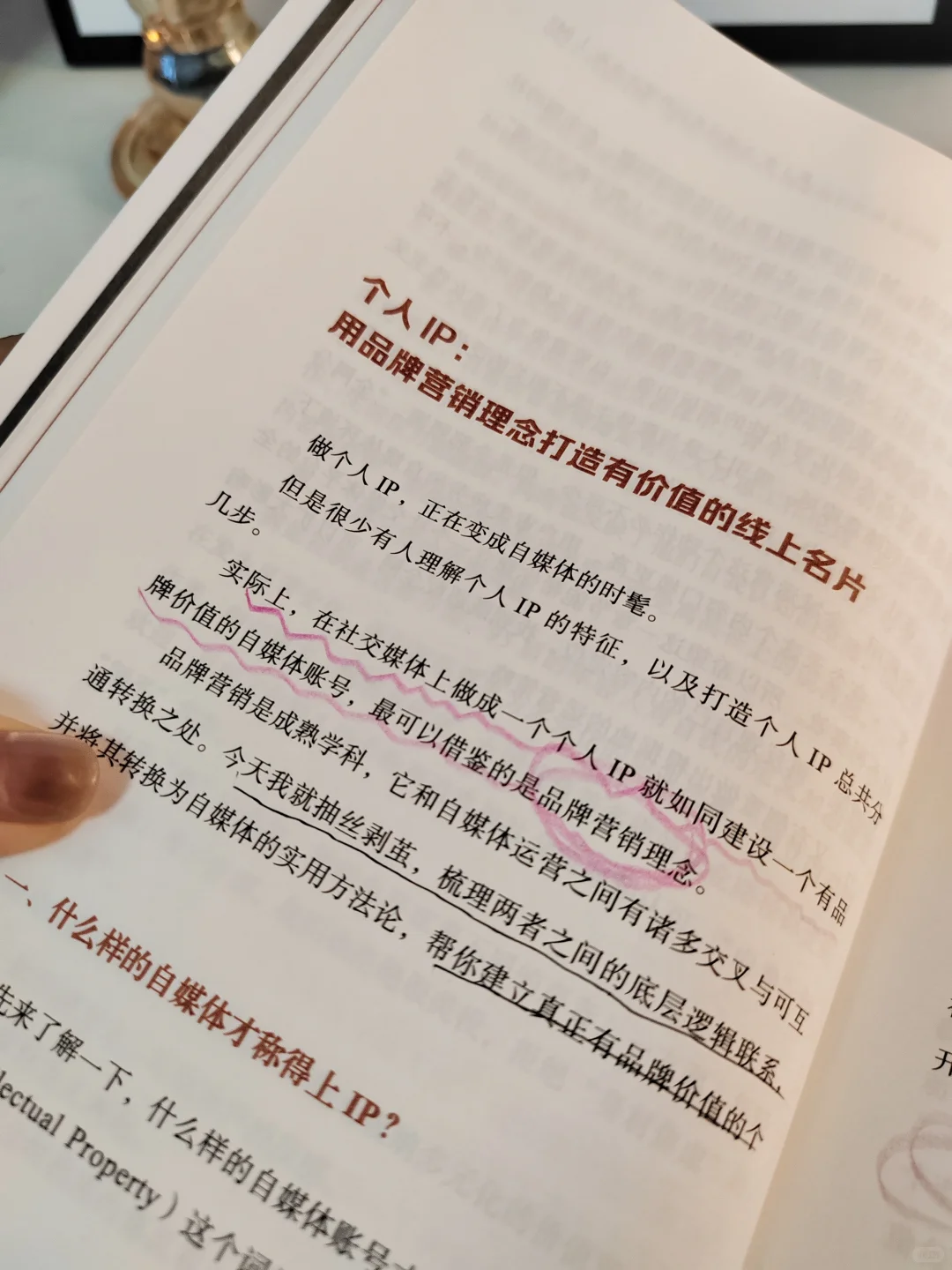 自媒体搞钱的关键，全在这里❗