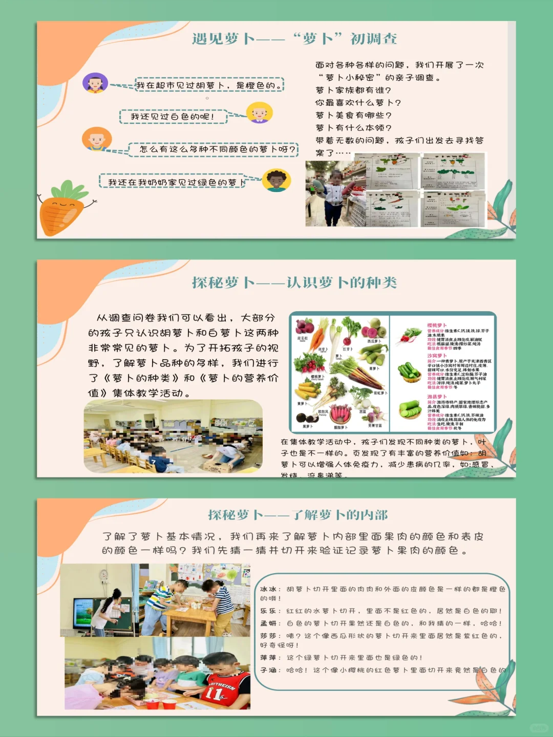 幼儿园班本课程《萝卜大探秘》