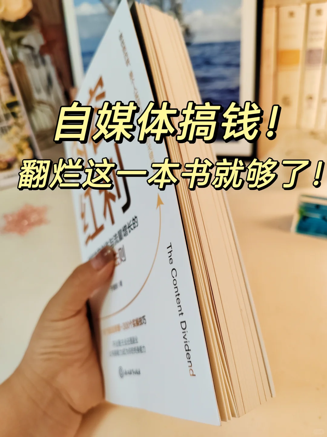 自媒体搞钱的关键，全在这里❗