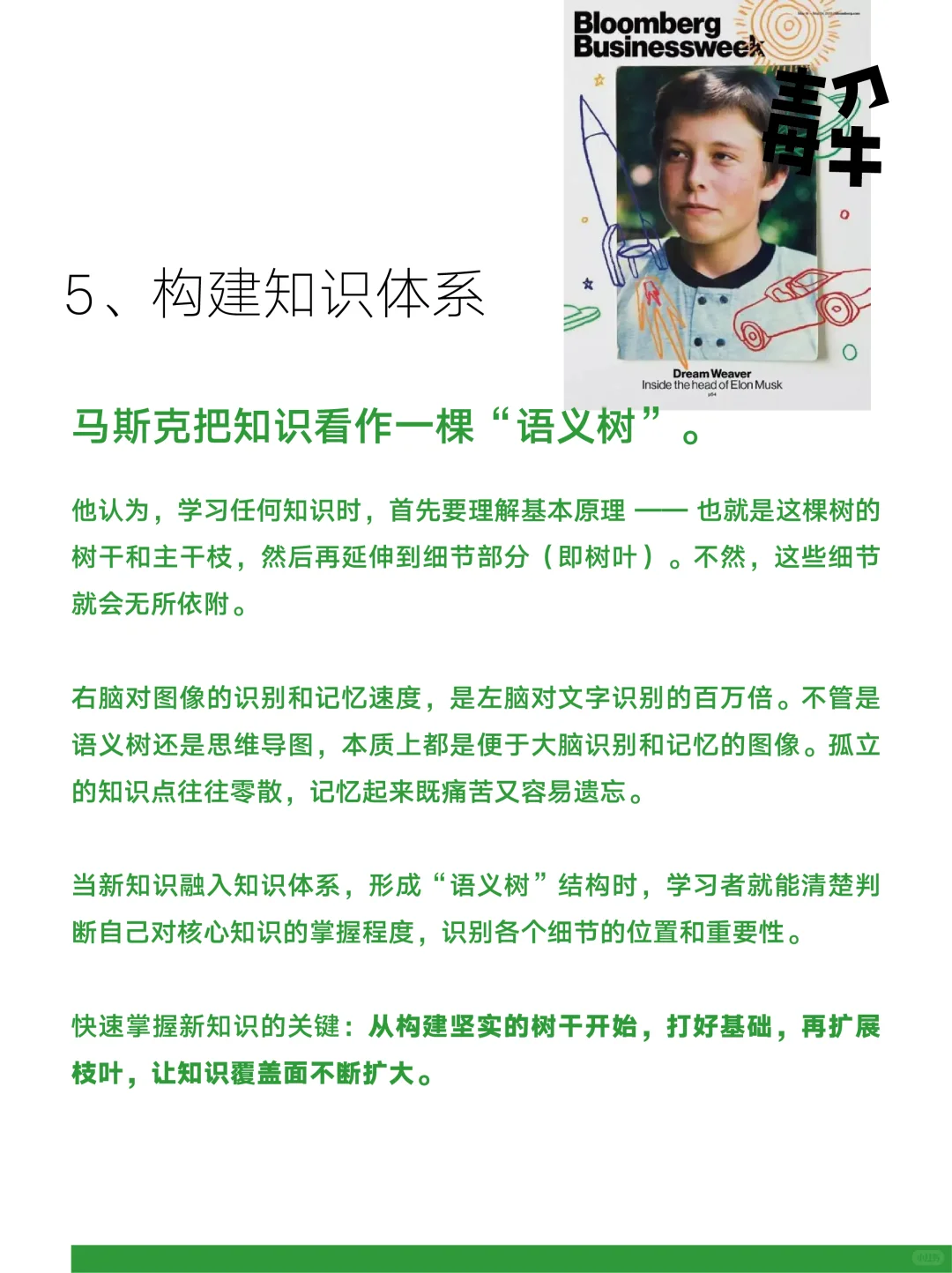 马斯克说过大量阅读 基本可以学会任何东西