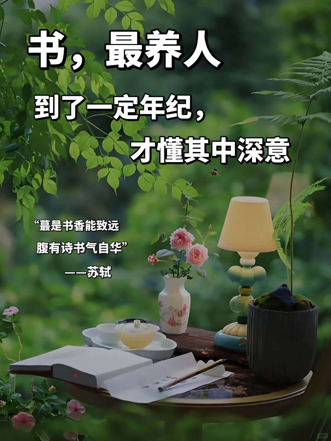 人到中年才懂：读书，是最顶级的养生！