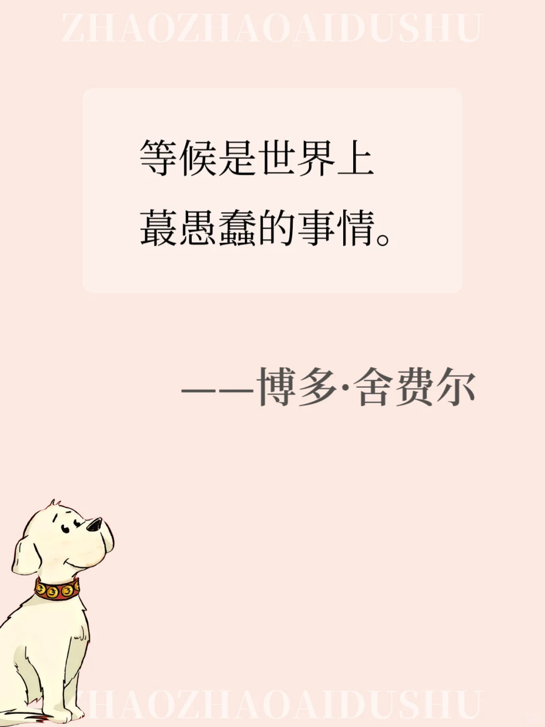 小狗钱钱这15句语录值得你背100遍