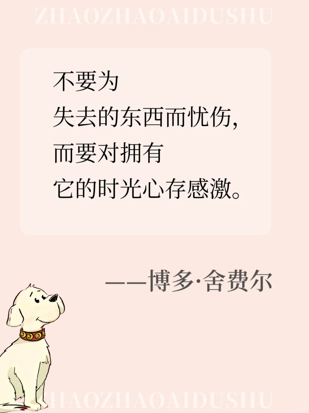 小狗钱钱这15句语录值得你背100遍