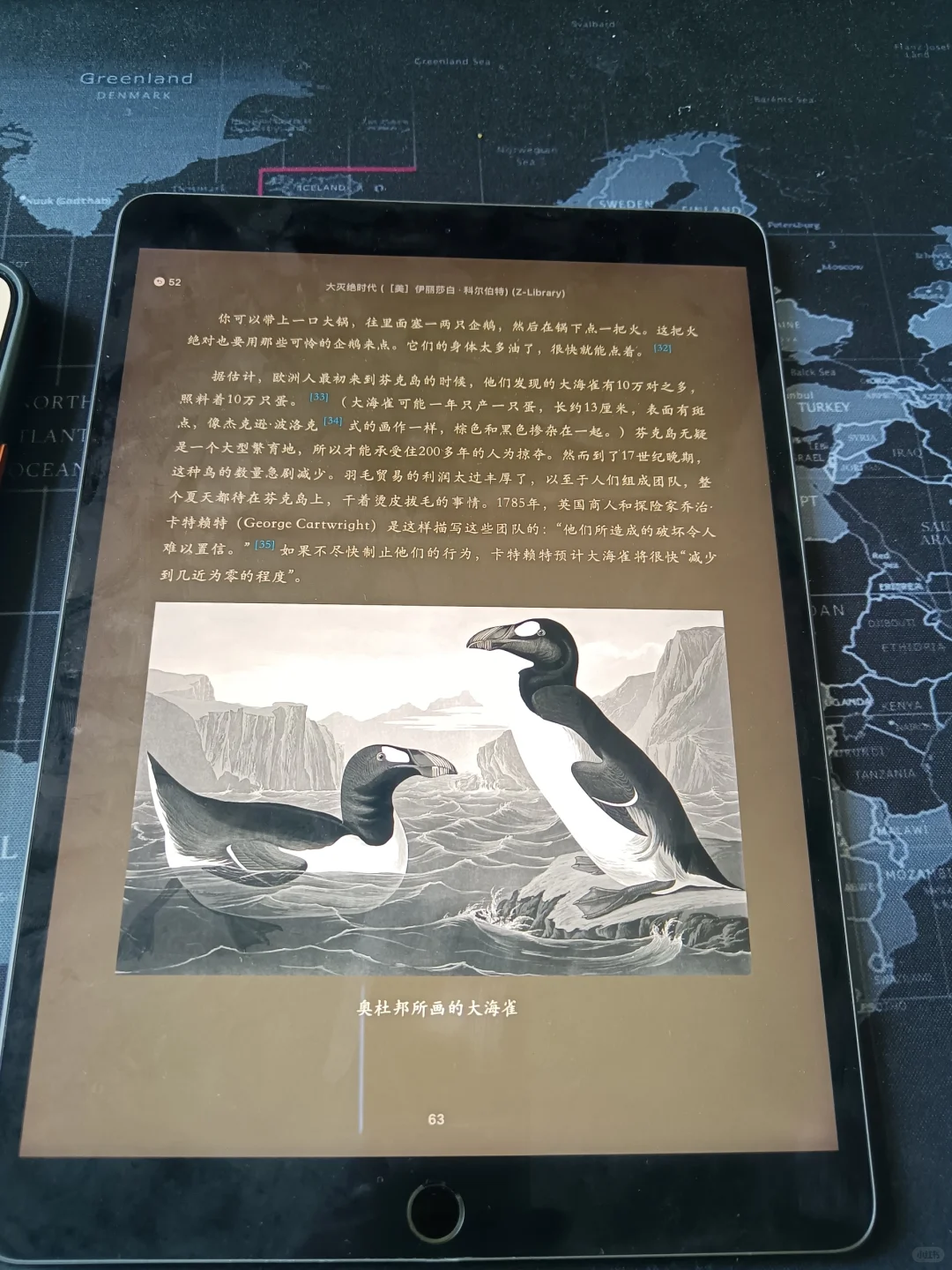 姐妹们听我说！终于可以实现阅读自由啦