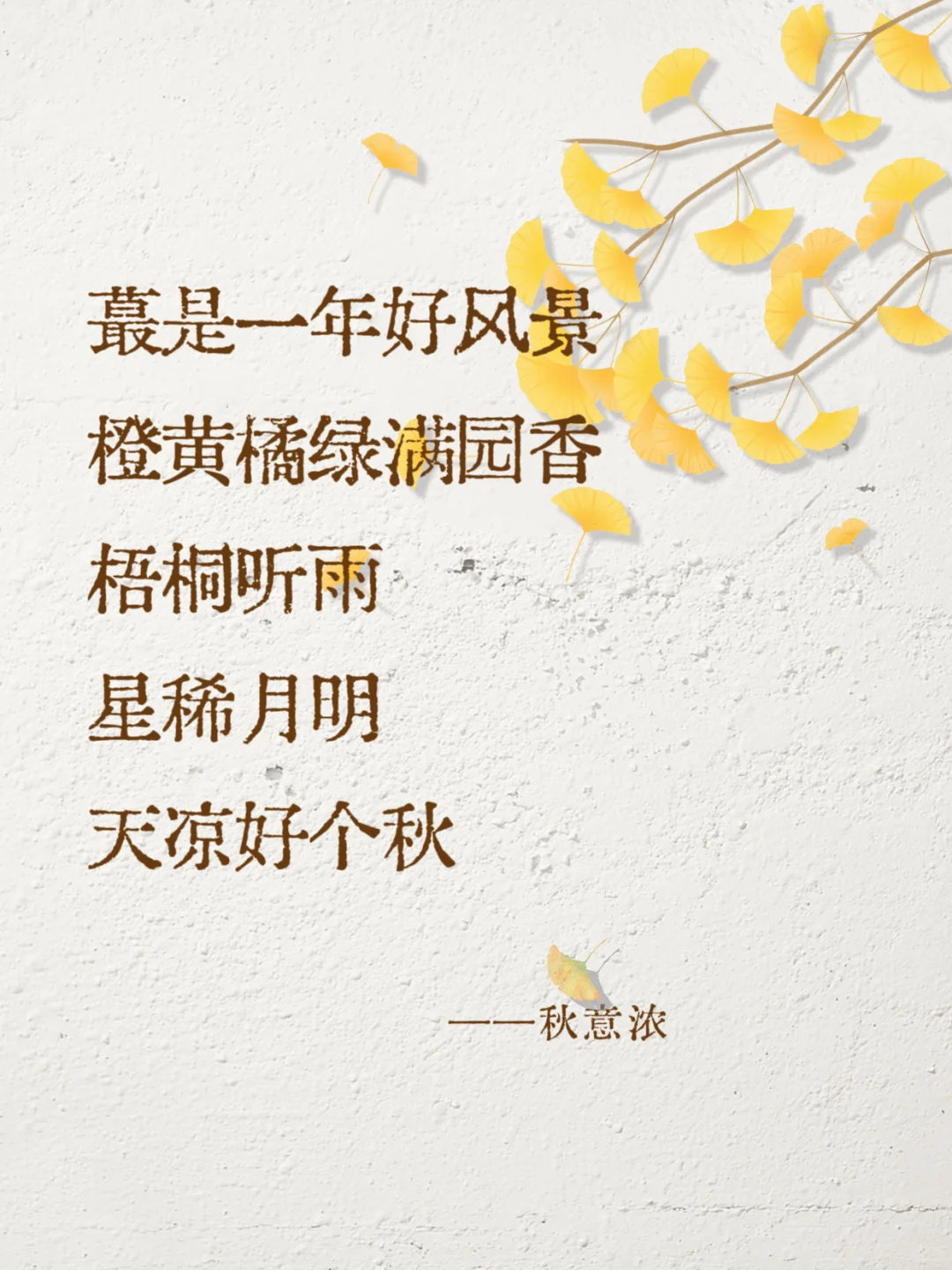 读书的意义：安放此心，活在当下