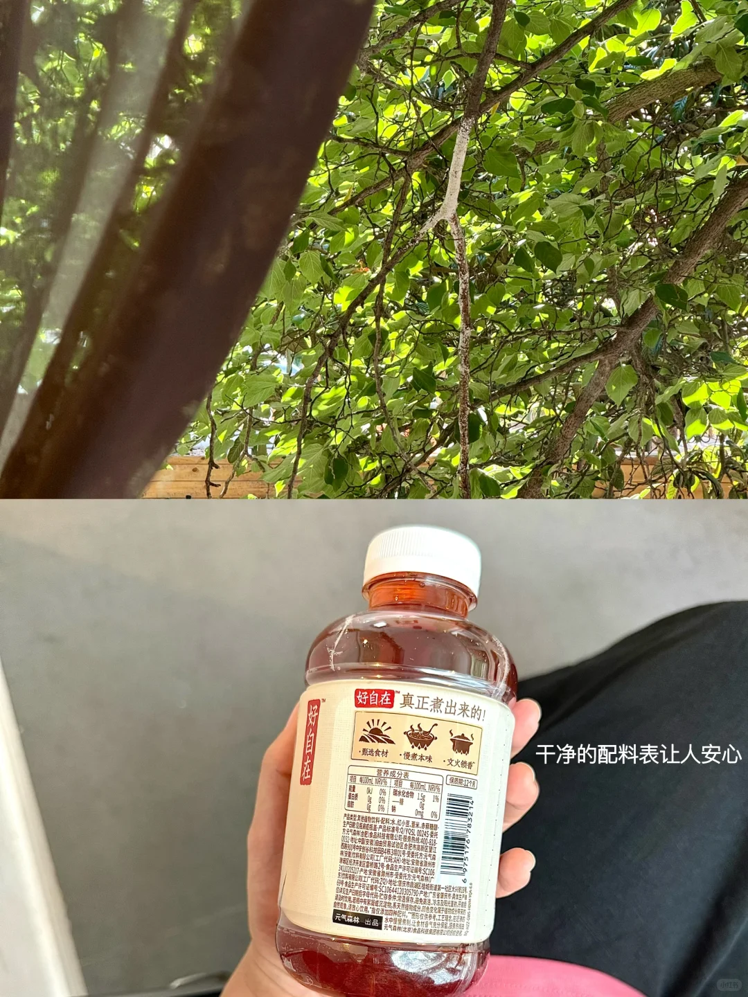 我的解压方式：阅读、睡觉、逛公园、不联系