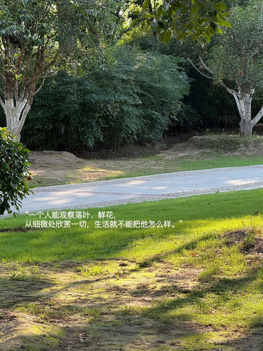 我的解压方式：阅读、睡觉、逛公园、不联系