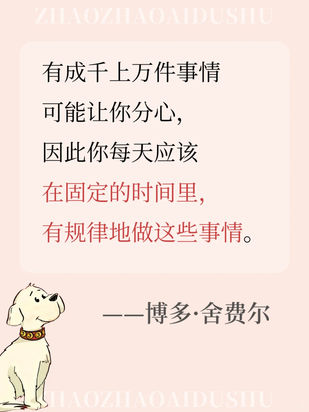 小狗钱钱这15句语录值得你背100遍