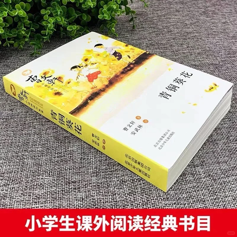 如何让孩子爱上阅读？经典文学开启智慧之门！
