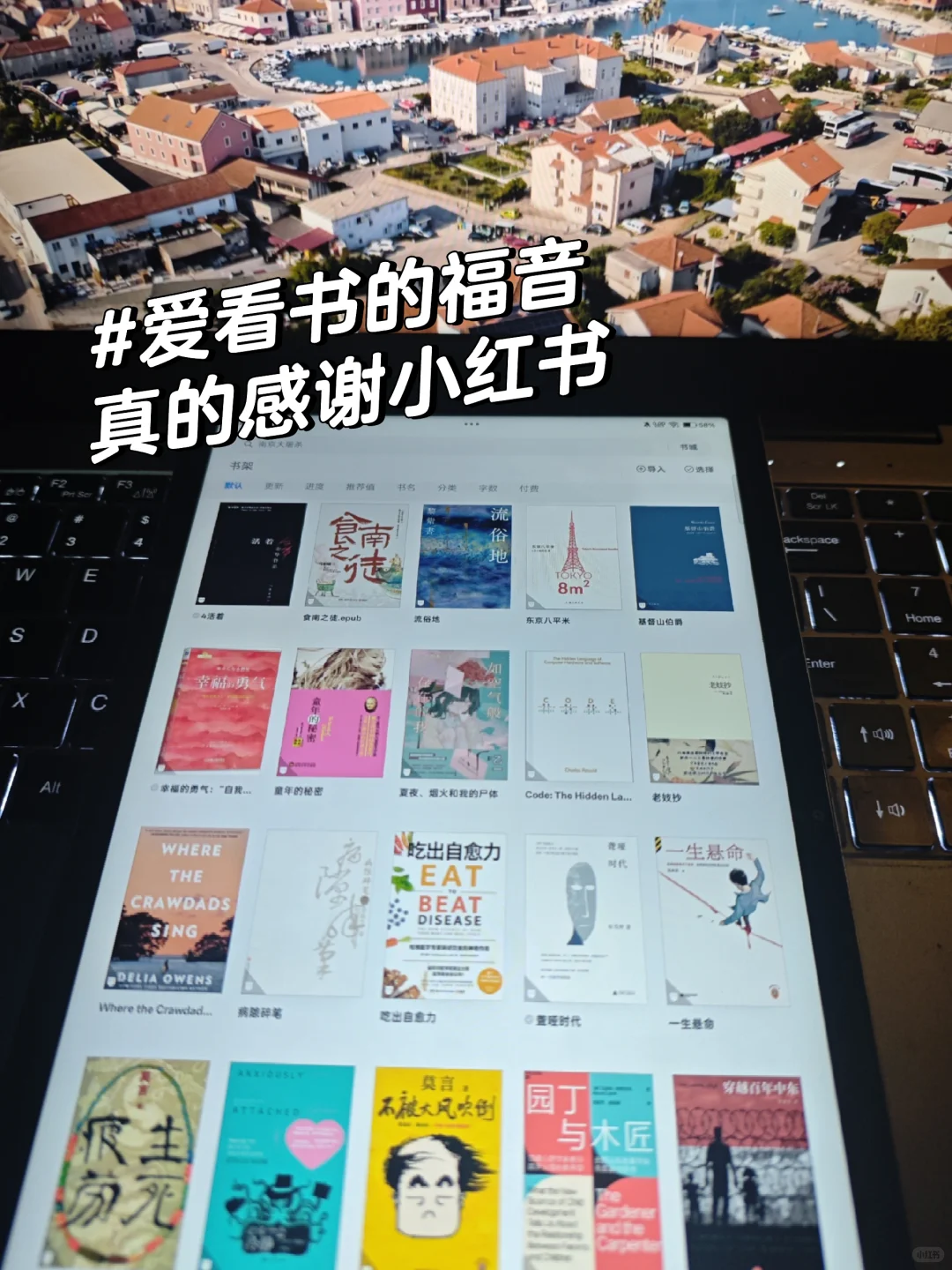 电子书自由！把图书馆塞进手机里！