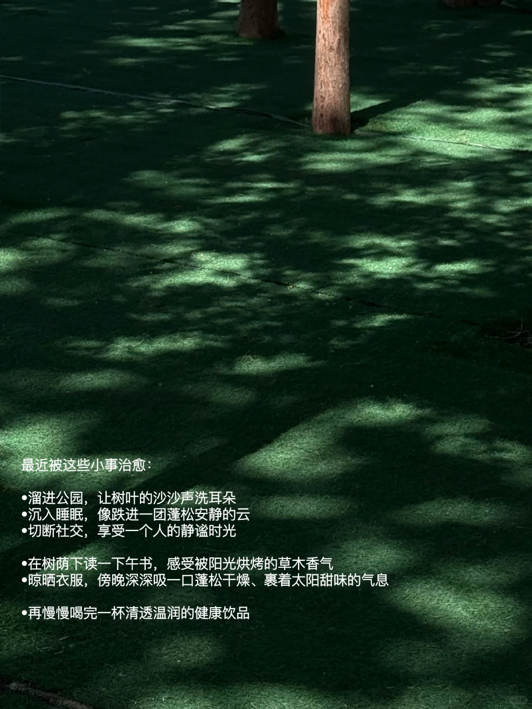 我的解压方式：阅读、睡觉、逛公园、不联系