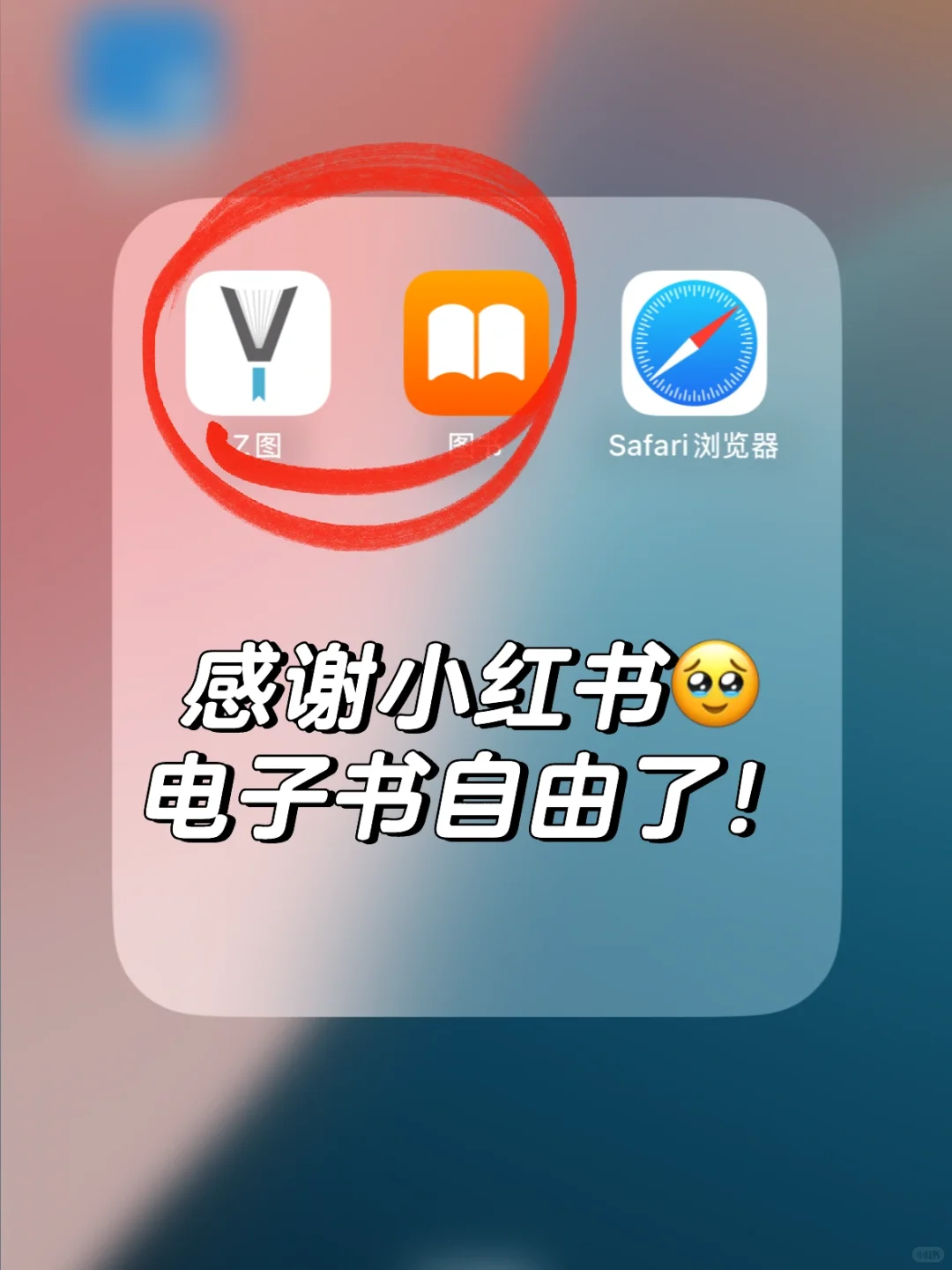 苹果图书APP活了，电子书自由好快乐🎉