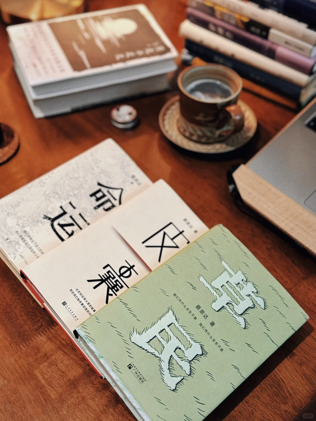 断联、独处、读书 | 在平静中找回自我