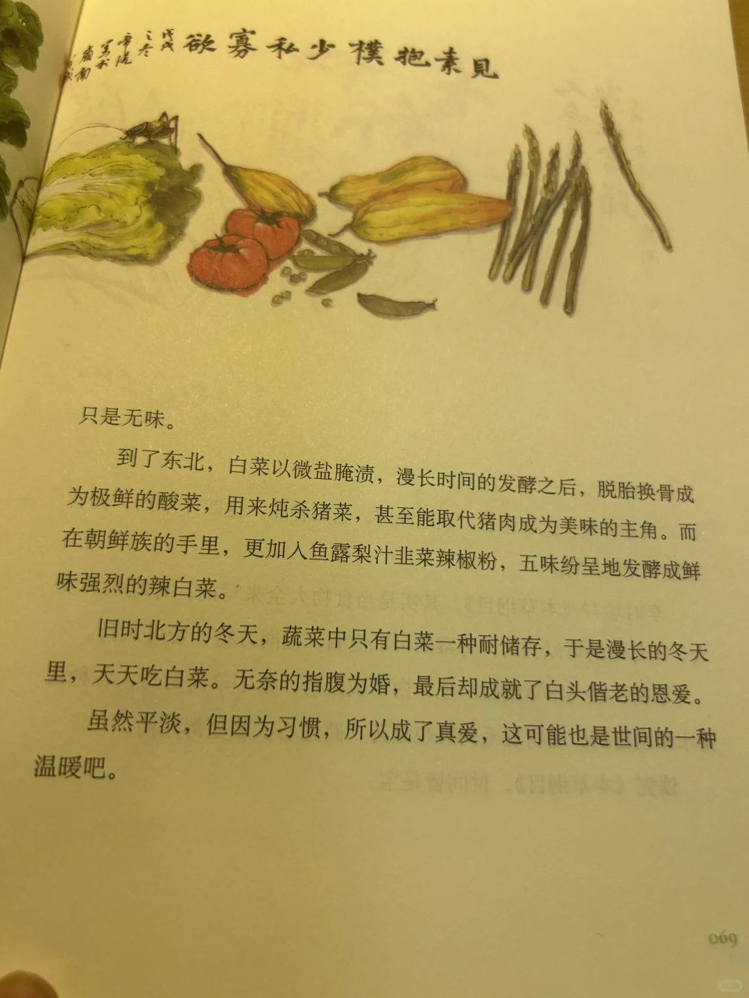 焦虑退散！这本书教我“把人生调成0.5倍速”🌸