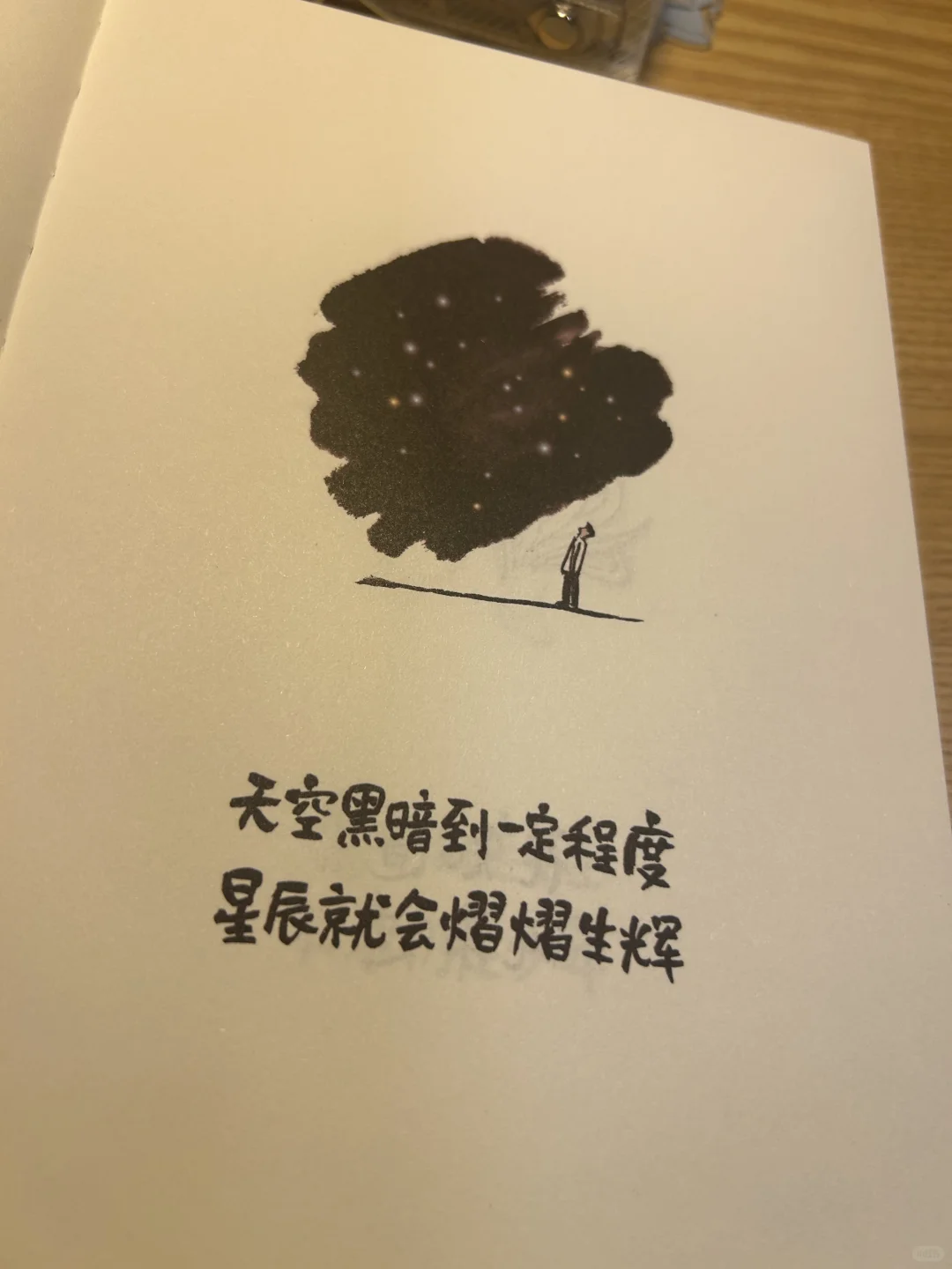 焦虑退散！这本书教我“把人生调成0.5倍速”🌸