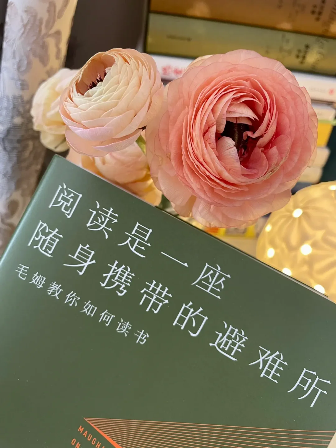 阅读是一座随身携带的避难所！