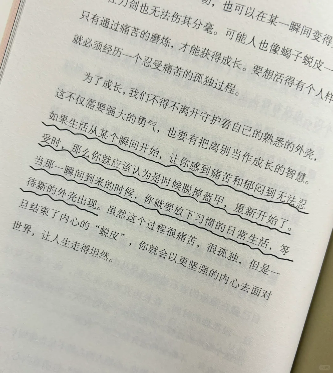 📚治愈书单| 享受当下生活，不为明天烦忧！