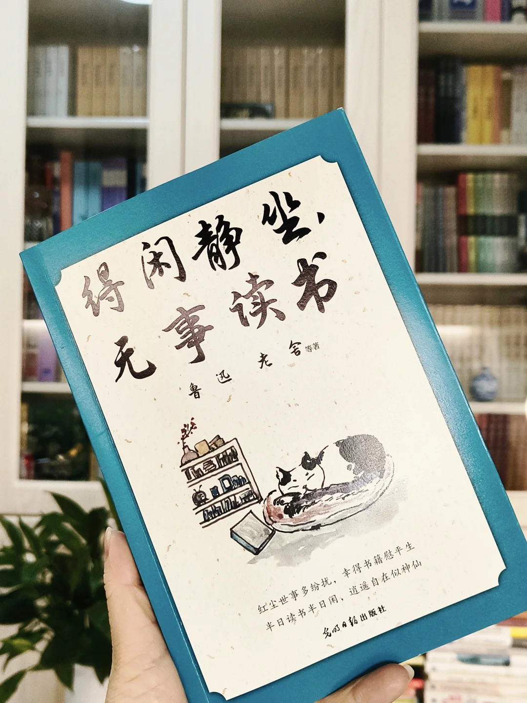 在阅读中遇见更好的自己:得闲静坐,无事读书