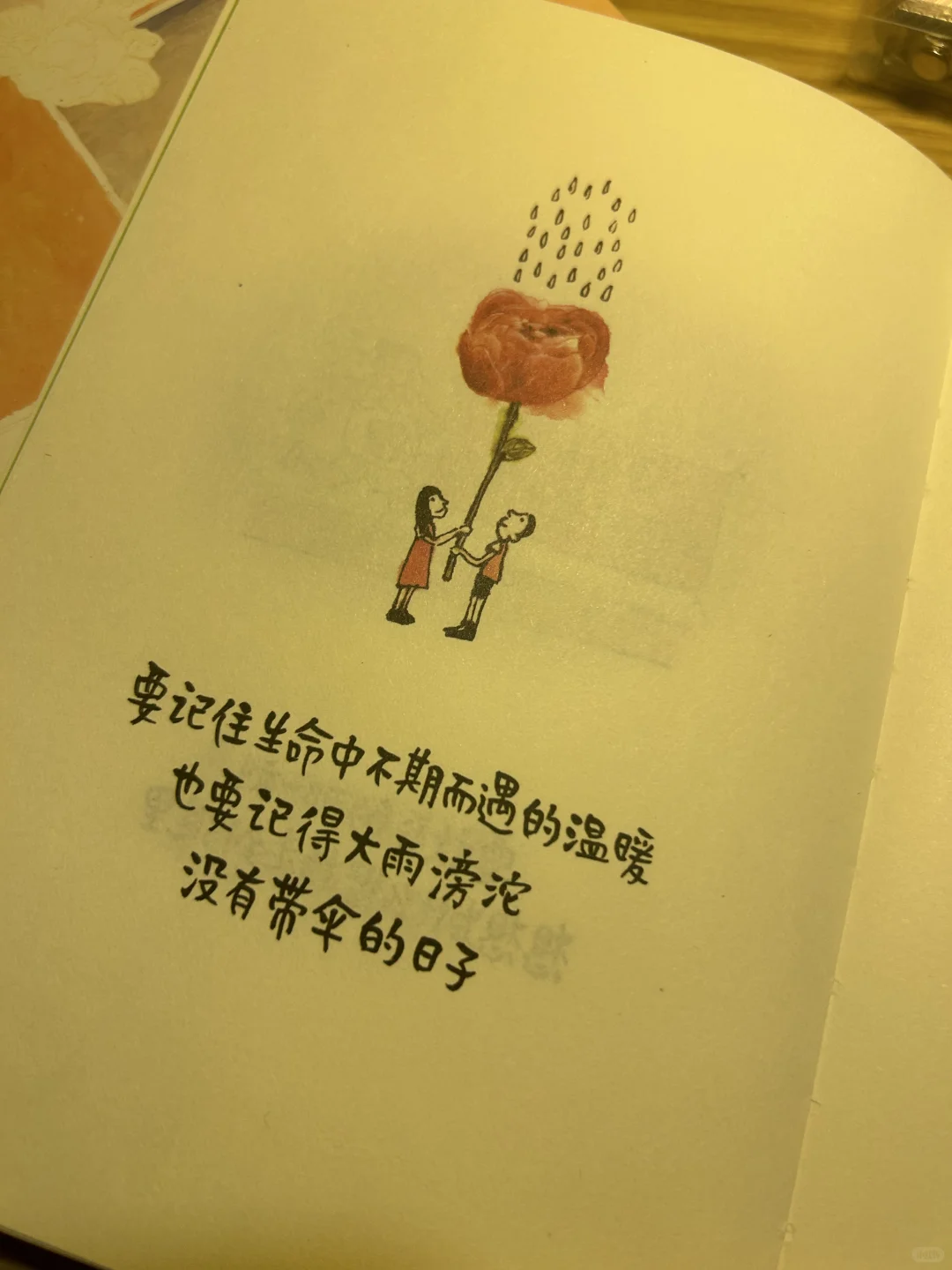 焦虑退散！这本书教我“把人生调成0.5倍速”🌸