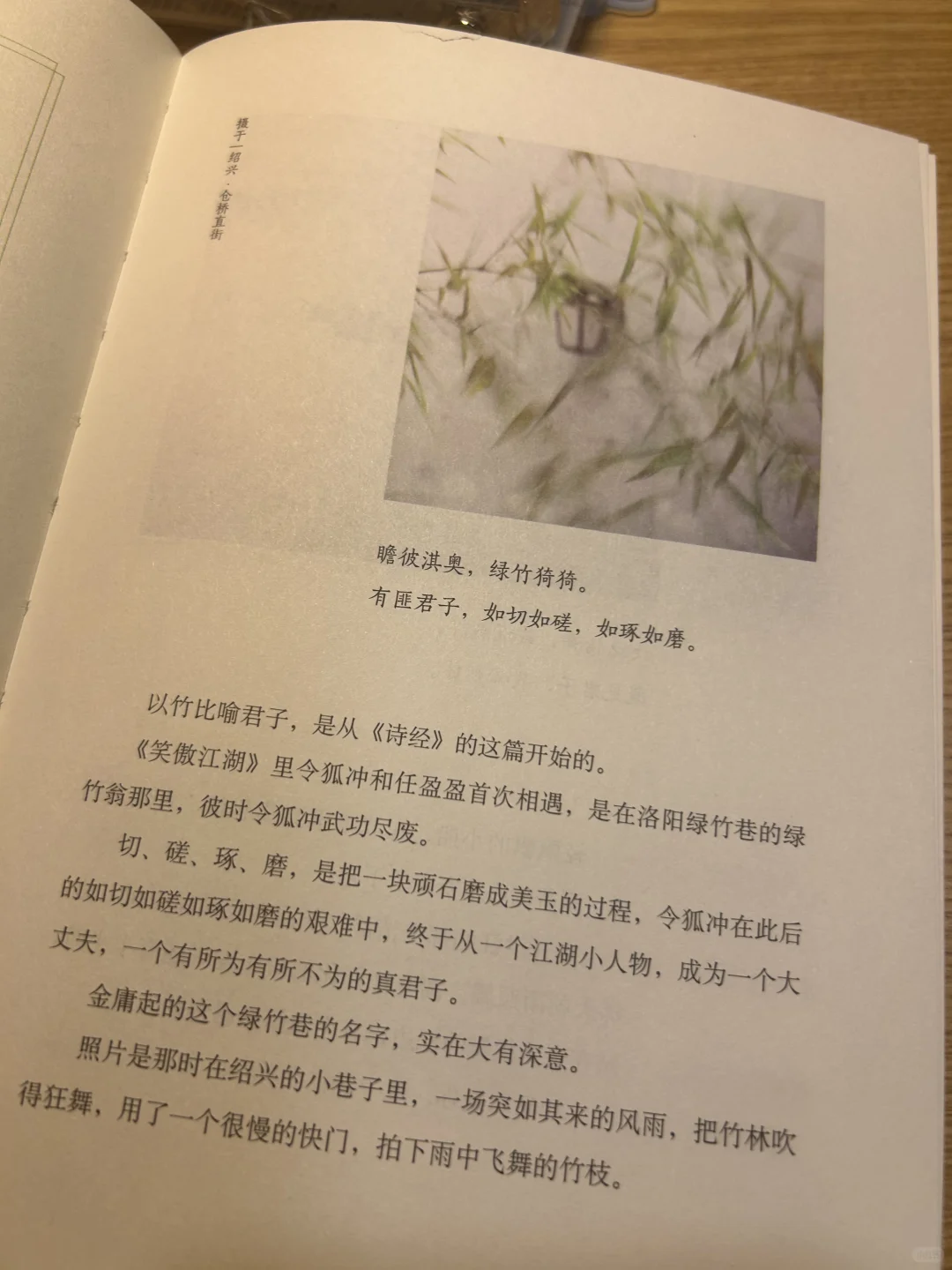 焦虑退散！这本书教我“把人生调成0.5倍速”🌸