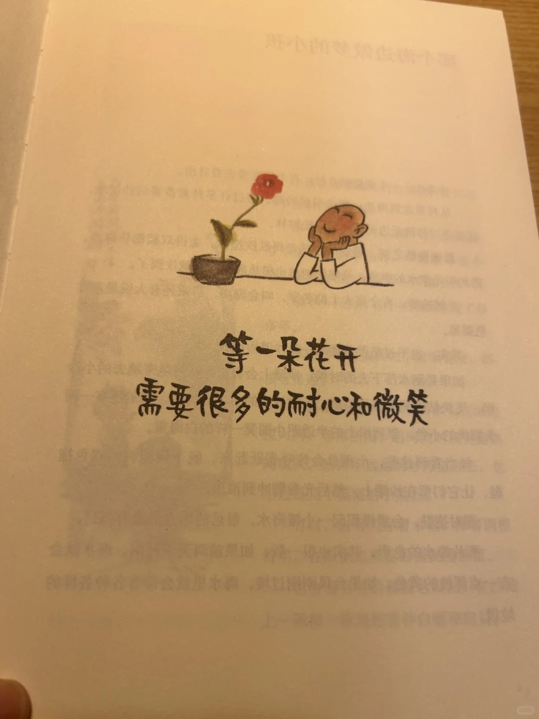 焦虑退散！这本书教我“把人生调成0.5倍速”🌸