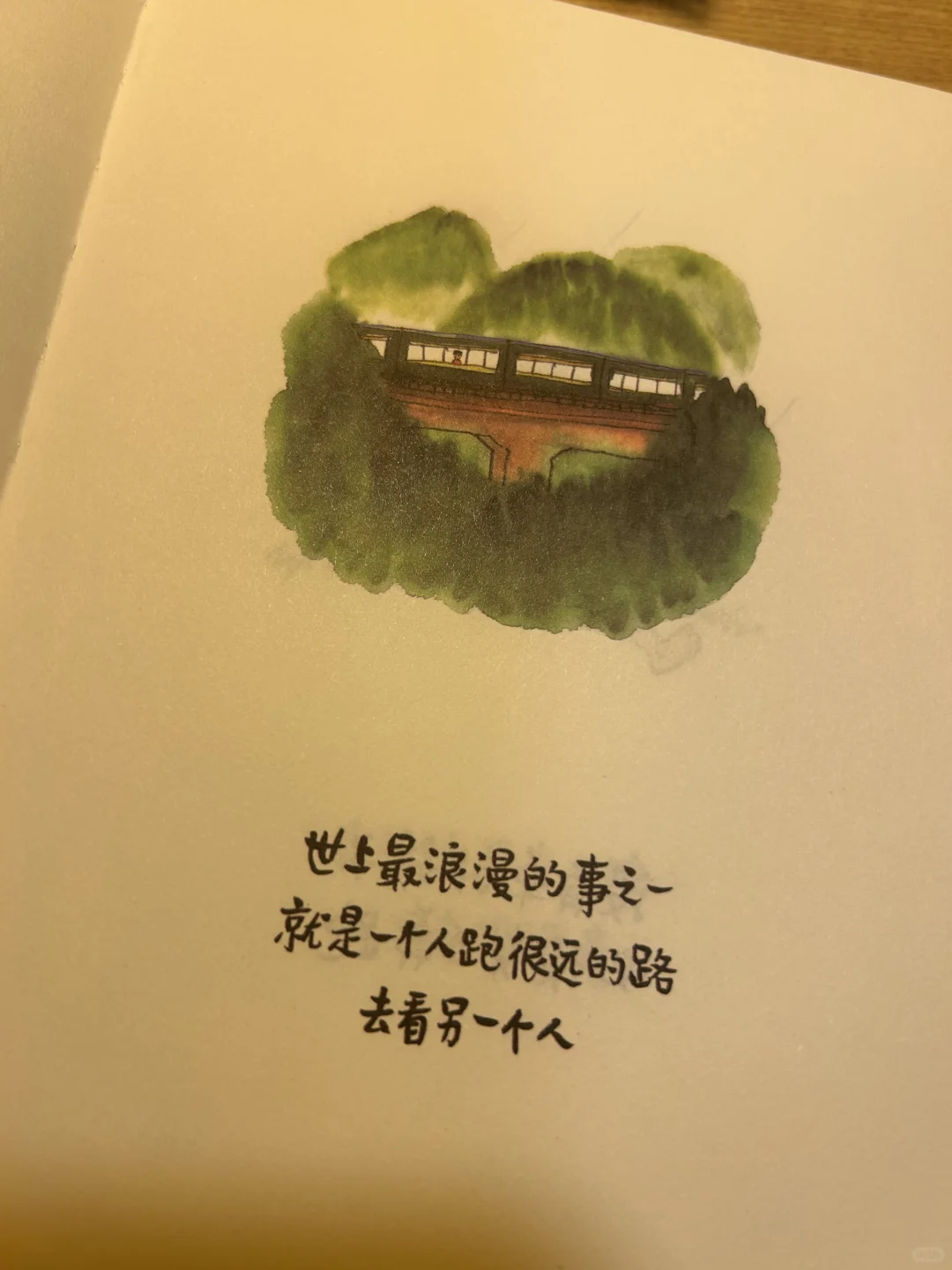 焦虑退散！这本书教我“把人生调成0.5倍速”🌸