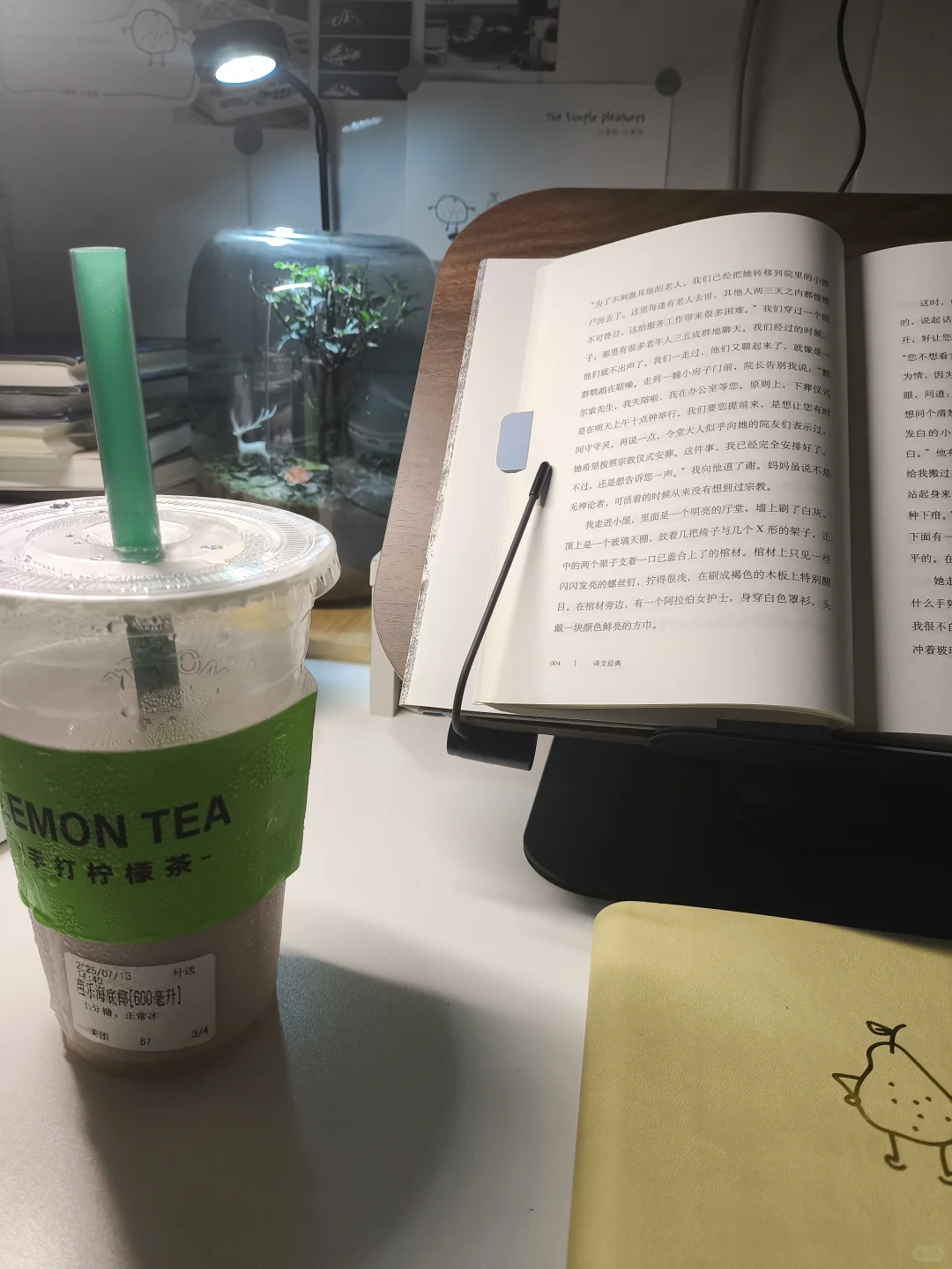 我好享受那种知识进脑的感觉