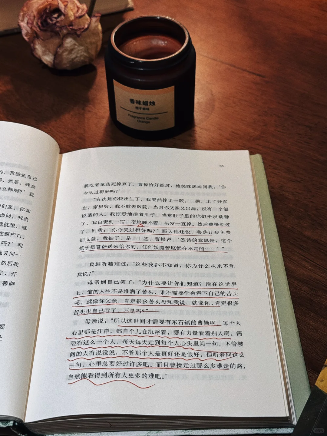 断联、独处、读书 | 在平静中找回自我