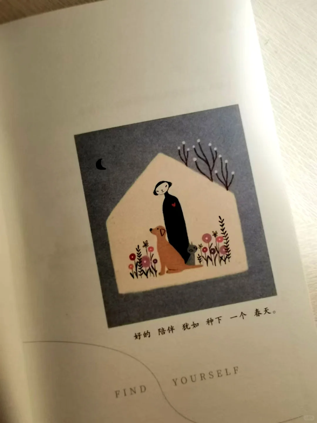 周末读书|生活应该被热爱的人和事填满