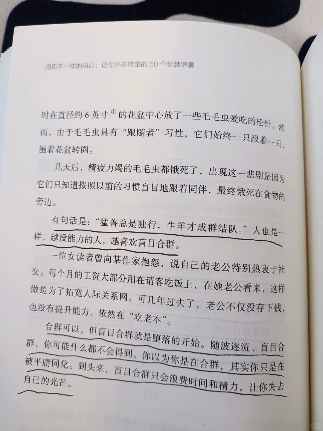 阅读｜阅己，越己，悦己
