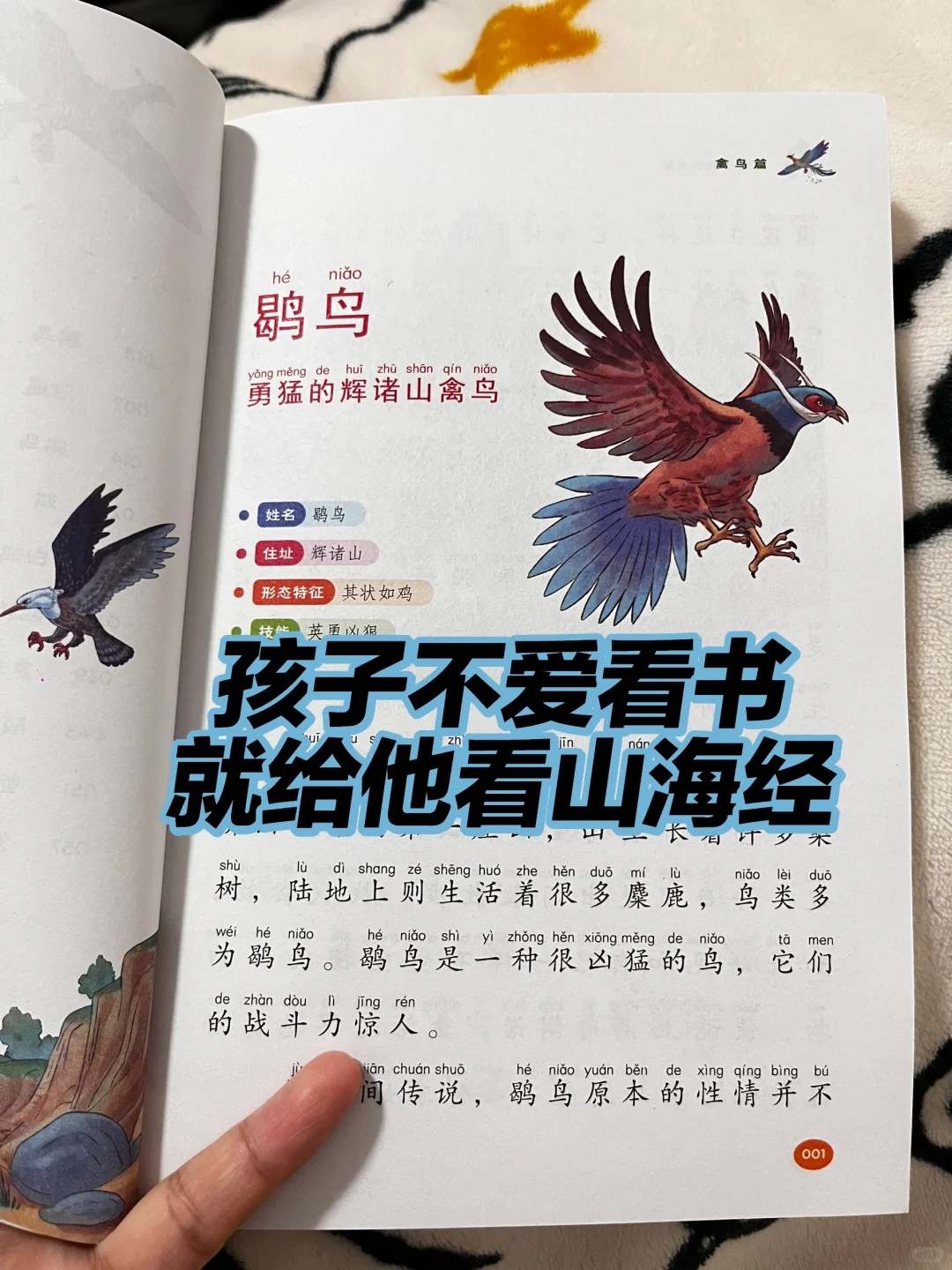 董宇辉：孩子不爱阅读，就给他看《山海经》😭