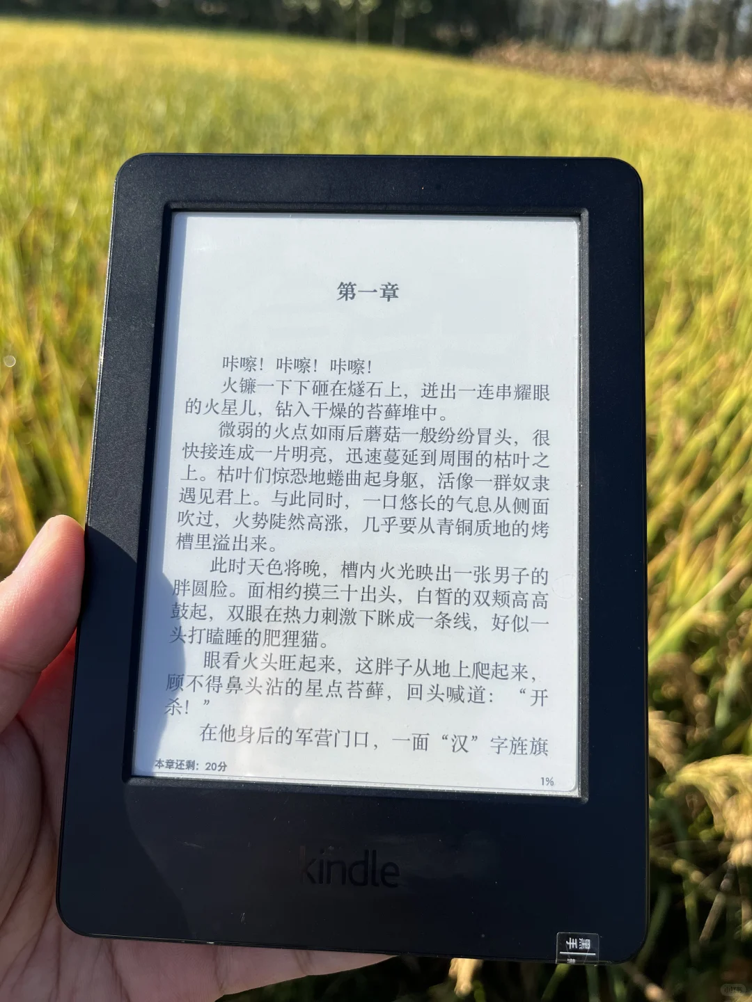 从来没人跟我说啊！kindle读书原来这么简单