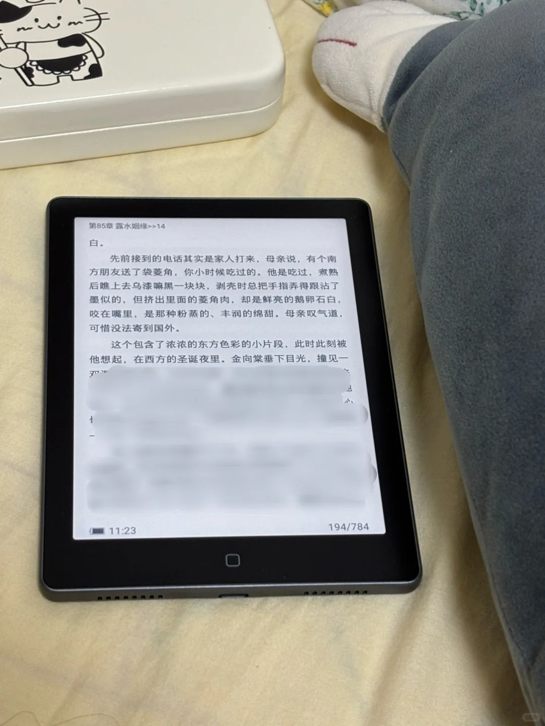 在小红书被种草了阅读器