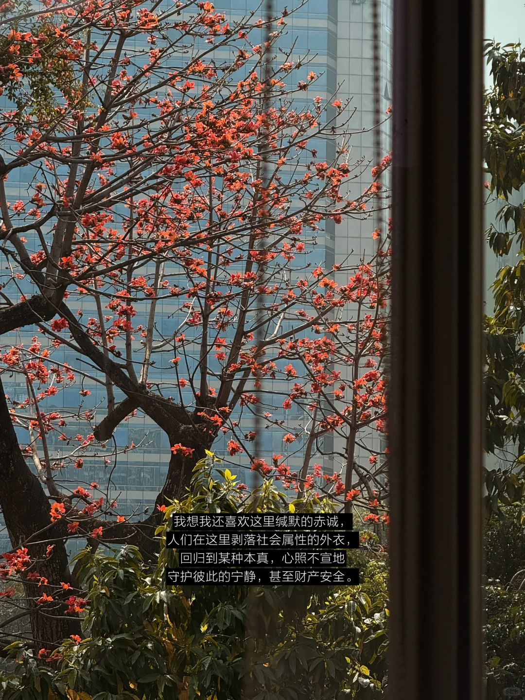 人类为何如此迷恋图书馆