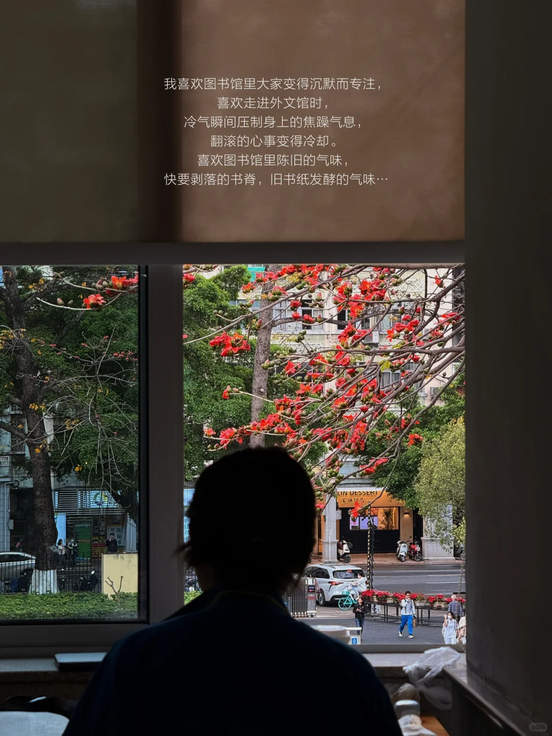 人类为何如此迷恋图书馆
