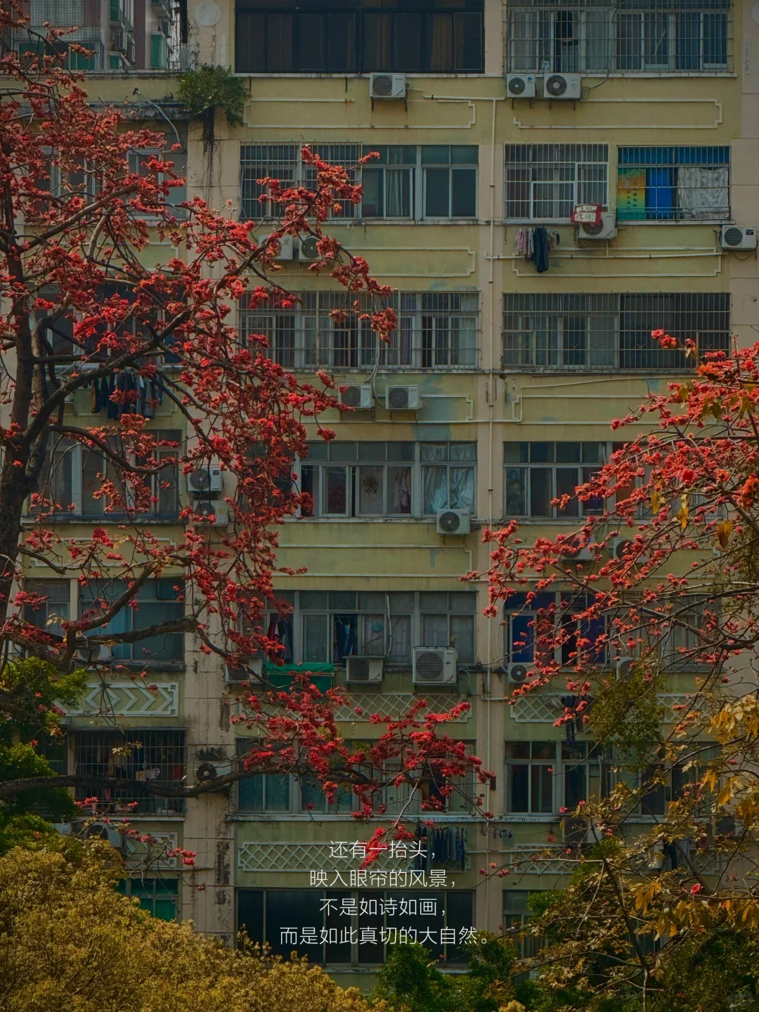 人类为何如此迷恋图书馆