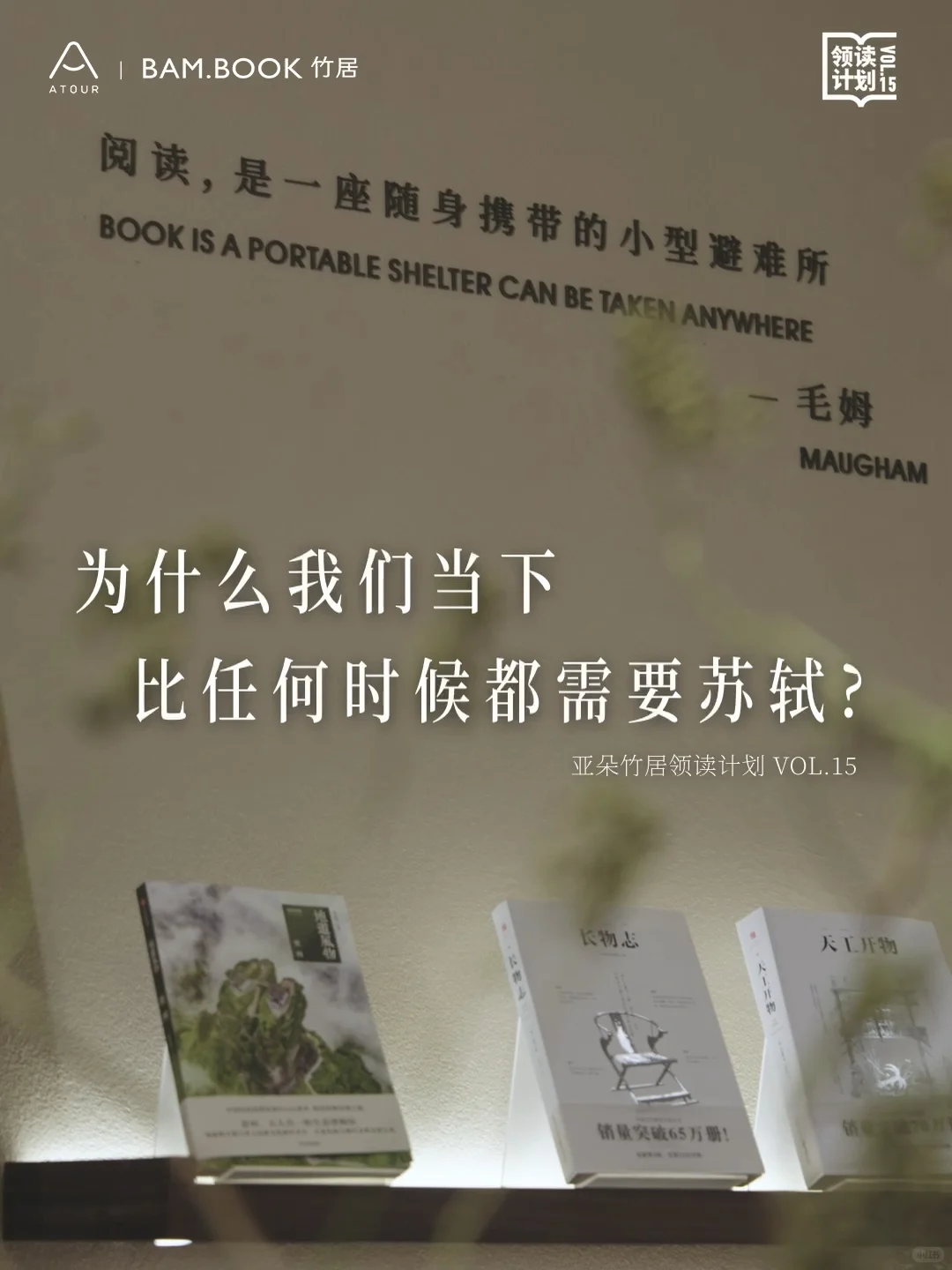 女性坚持读书的重要性在此刻具象化