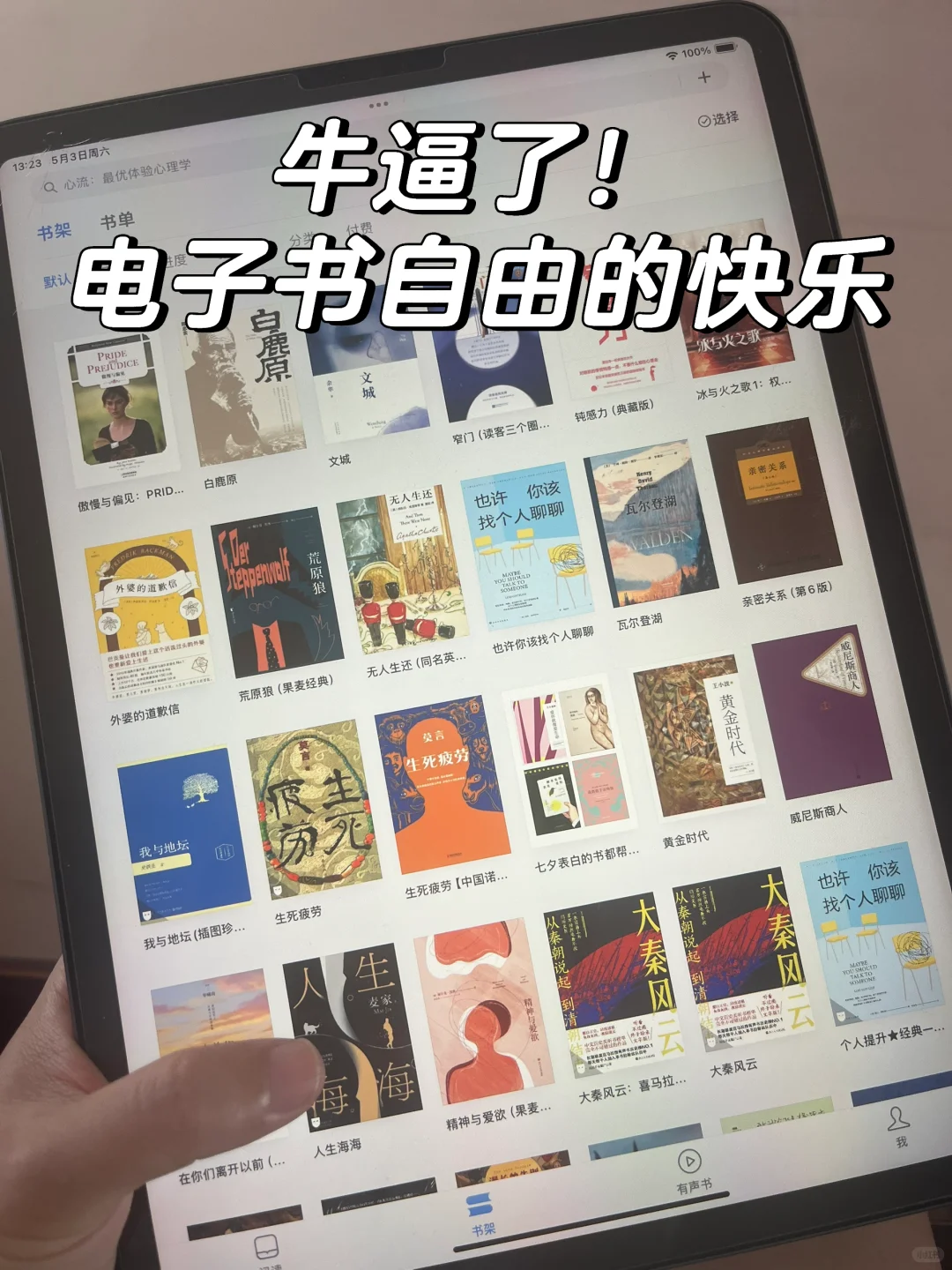 牛逼！实现电子书自由🔥我的iPad秒变图书馆